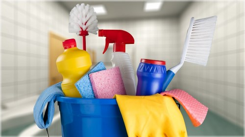 Professional carpet cleaning in Roehampton for a fresh home interior