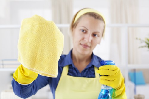 Professional upholstery cleaning in Roehampton on a fabric sofa