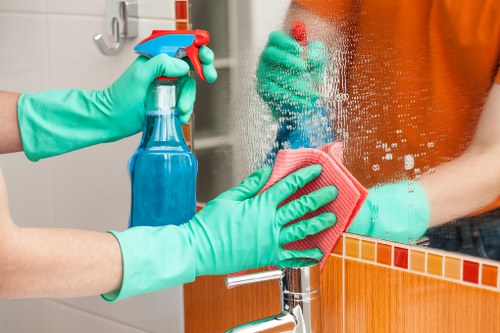 Roehampton cleaning team handling home and office tasks