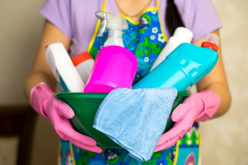 Professional cleaning company in Roehampton for homes and businesses