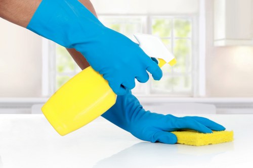 Workers supporting ethical deep cleaning compliance