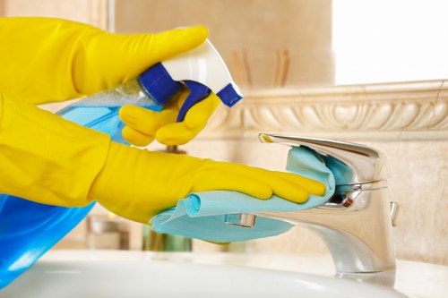 Specialist Roehampton oven cleaning process for a family kitchen appliance