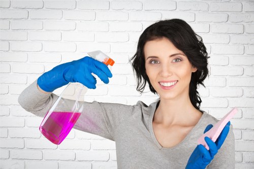 Local domestic cleaning in Roehampton for a well-maintained family home