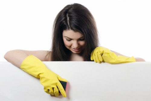 Roehampton cleaning team providing domestic and office cleaning services