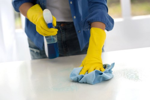 Local Roehampton oven cleaner handling oven shelves and trays